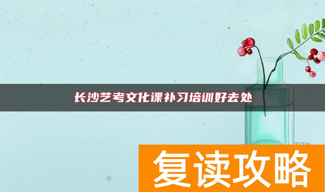 长沙艺考文化课补习培训好去处