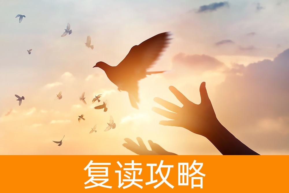 复读效果分析:高三复读生平均提高多少分?